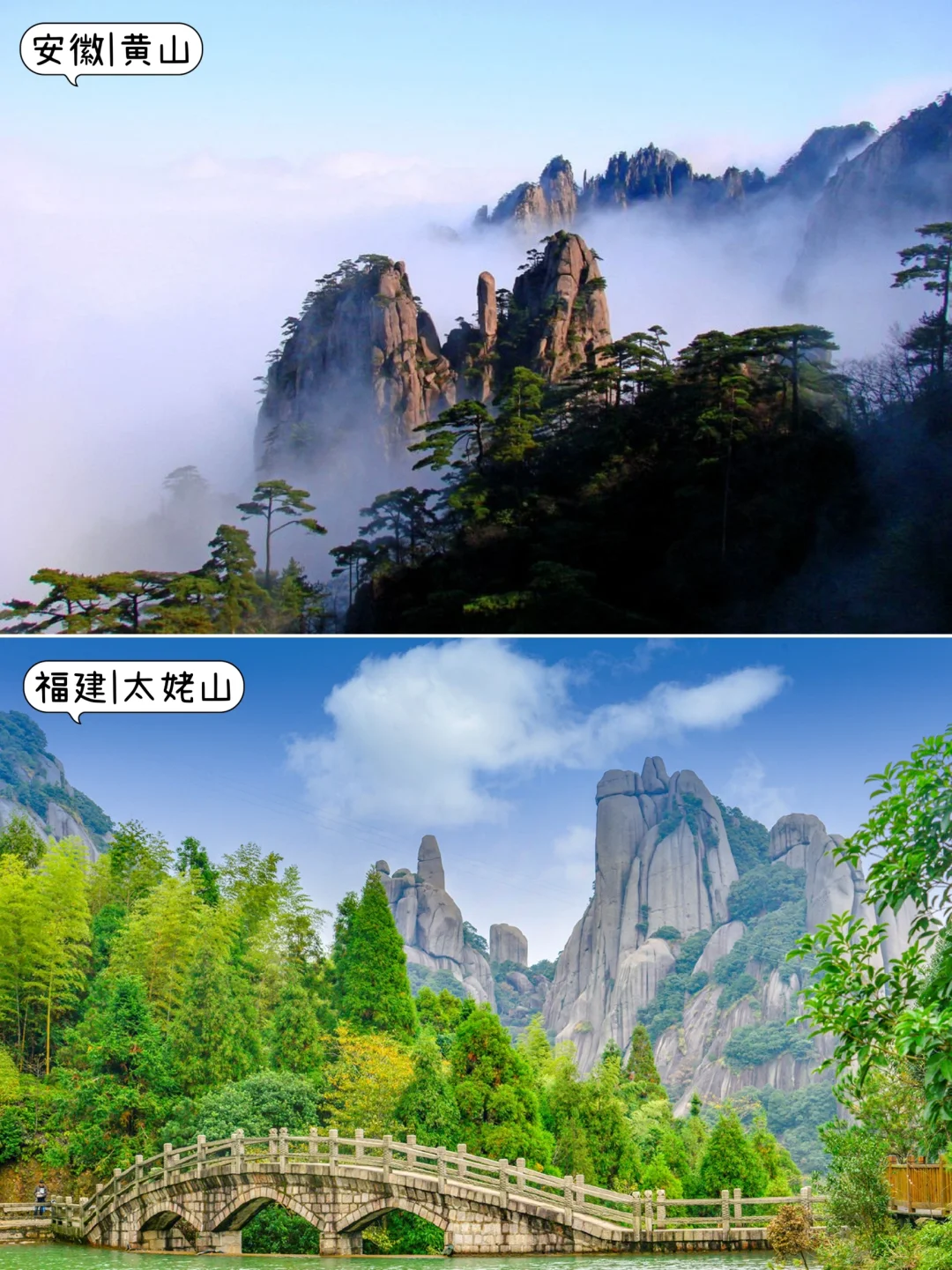 🤩3-5月不知道去哪玩？那就挑个最近的去吧
