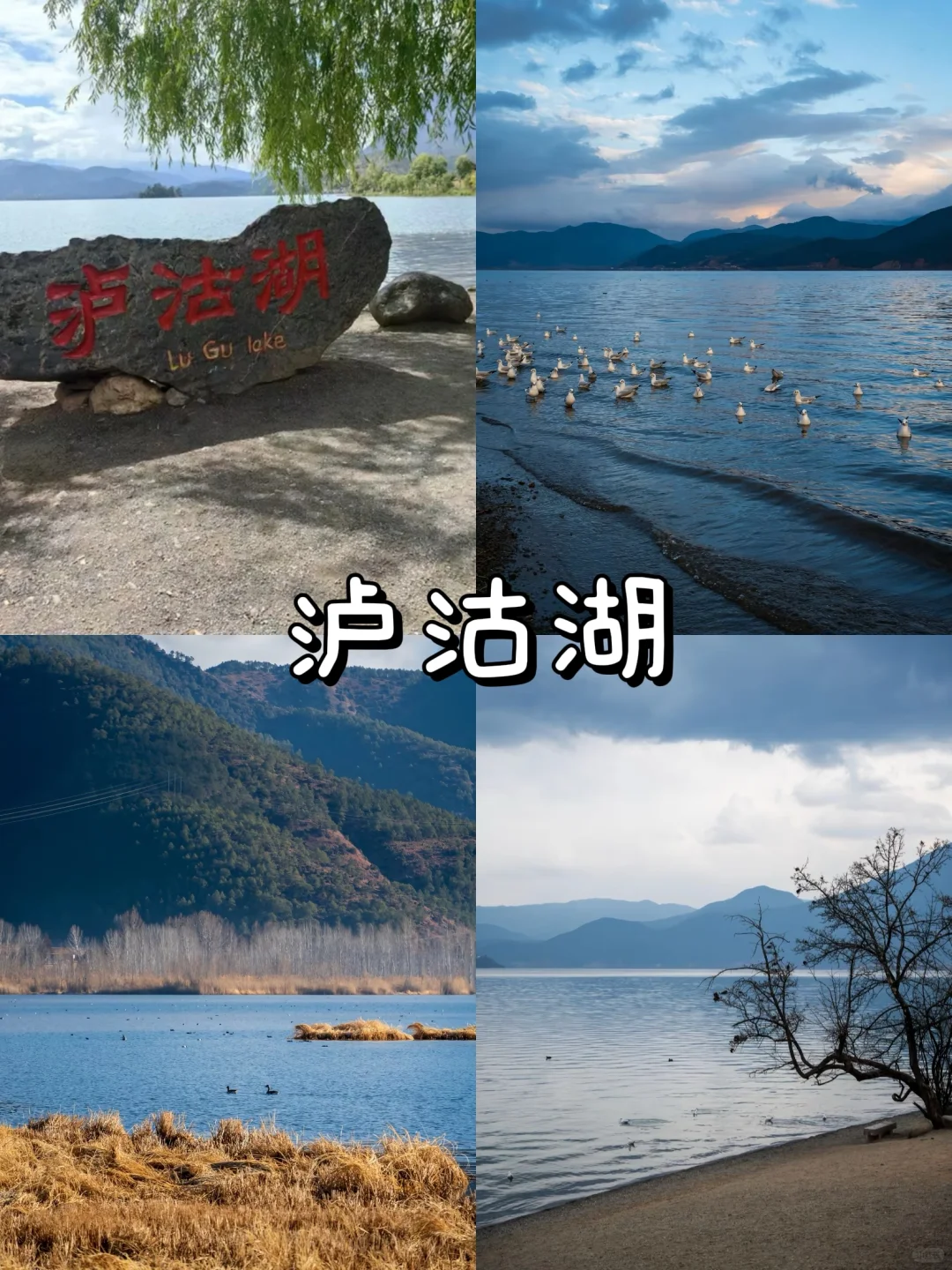 云南旅游攻略｜9大必去景点🔥