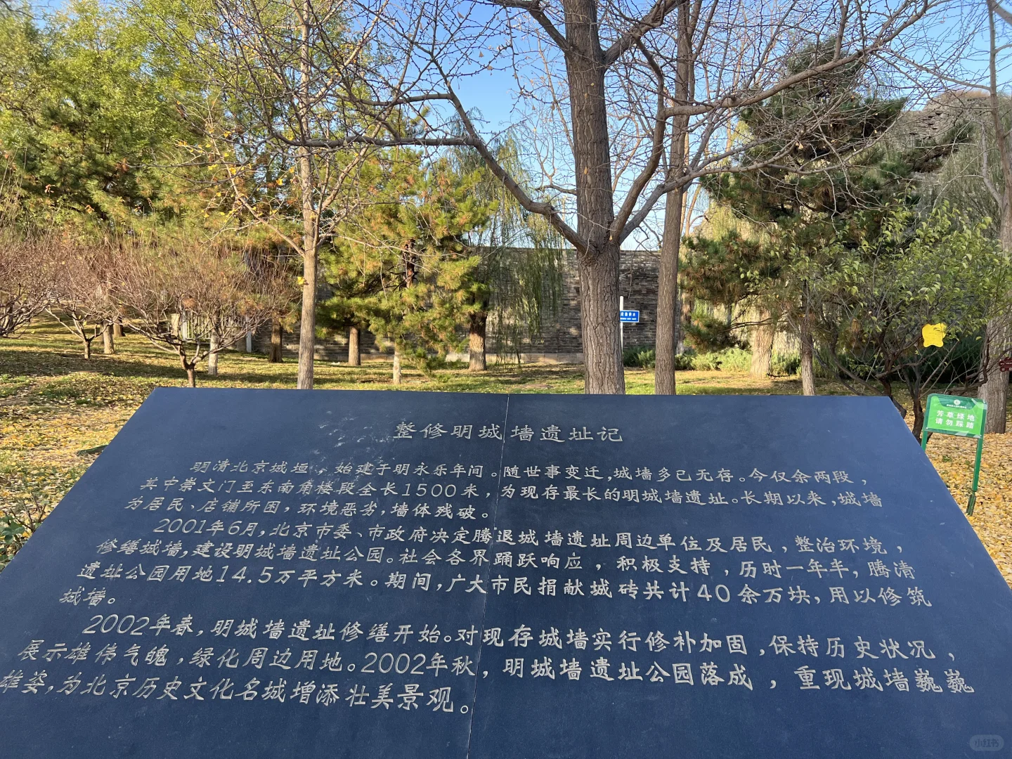 北京📍一个人也可以闲逛的好地方（14/99）