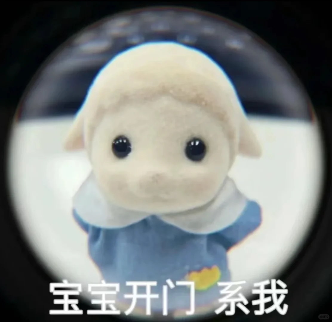 加拿大🇨🇦 中学生兼职
