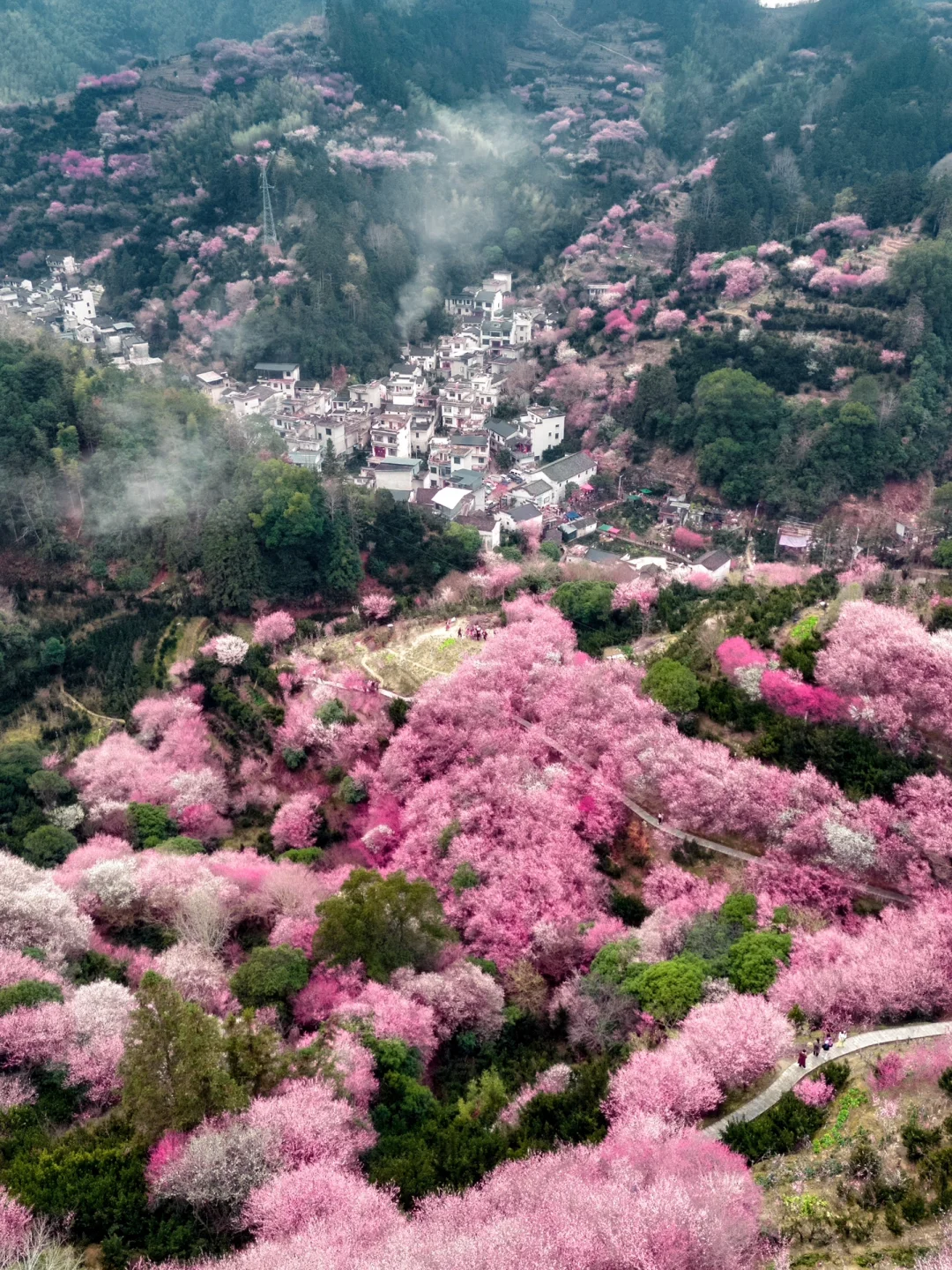 原来陶渊明笔下的《桃花源记》是真实存在的！！