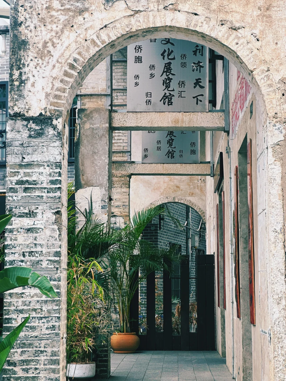 不是大理‼️是深圳！去有风的地方免费游~