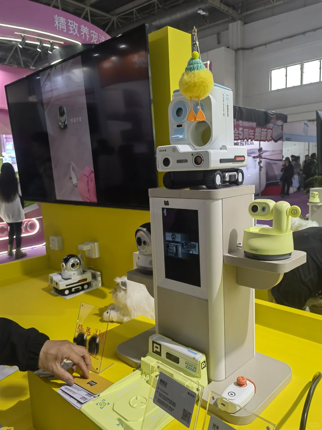逛宠物展了，说点自己的感受