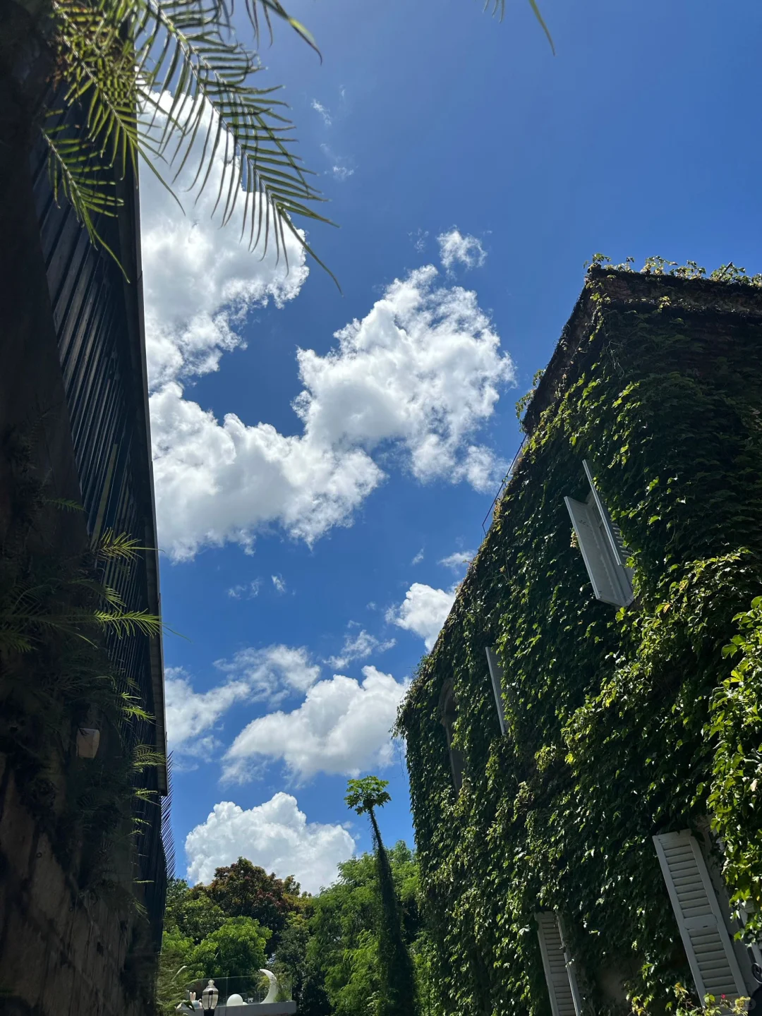 🌟【厦门旅游攻略】🌟 绝美海岛+美食天堂，一