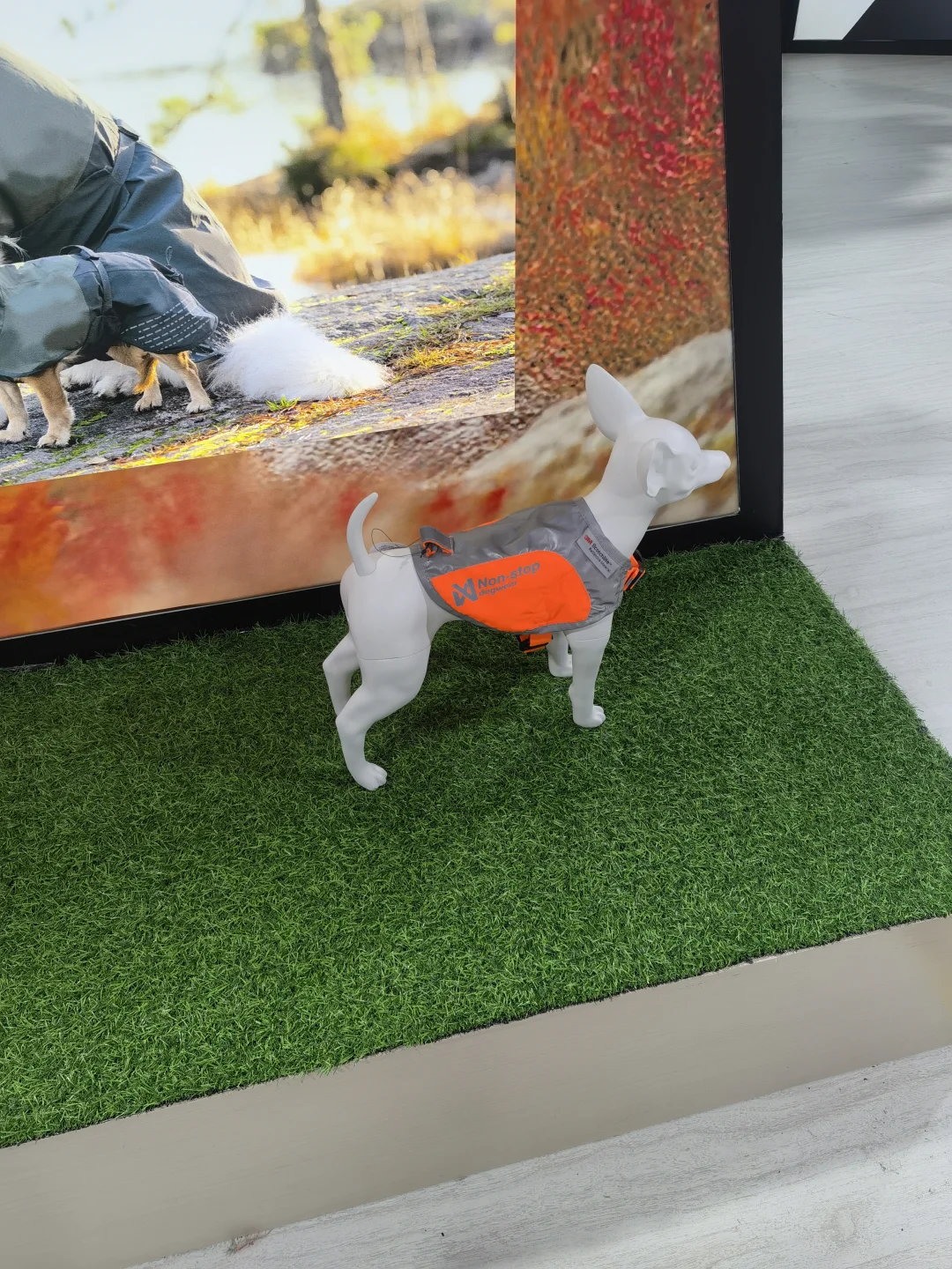 逛宠物展了，说点自己的感受