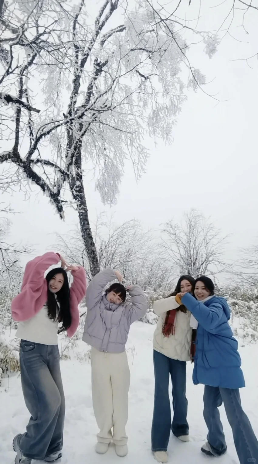 在王岗坪 遇见积雪雾凇～❄️