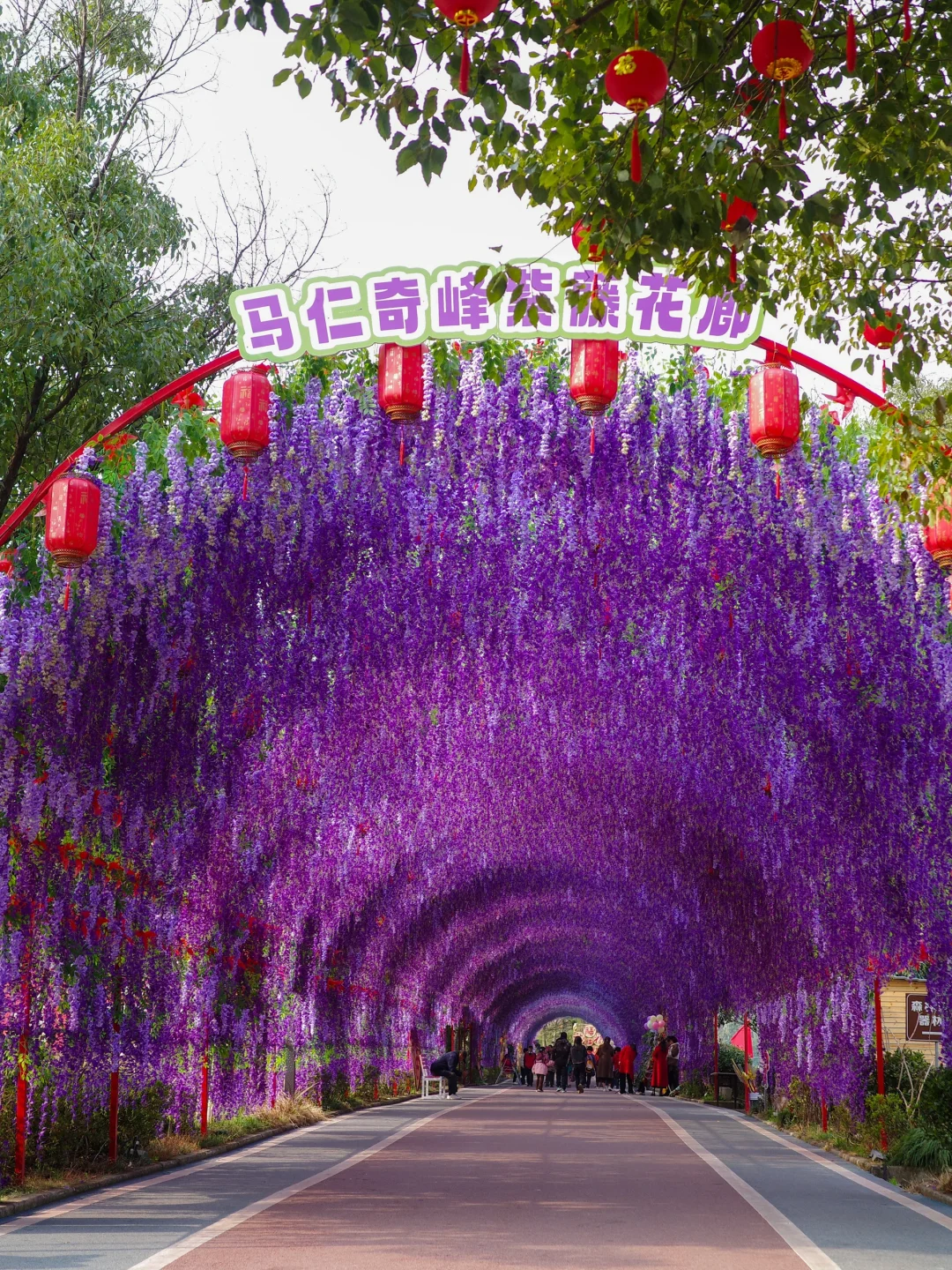 南京出发🚄1h！！！绝美小众秘境🌳