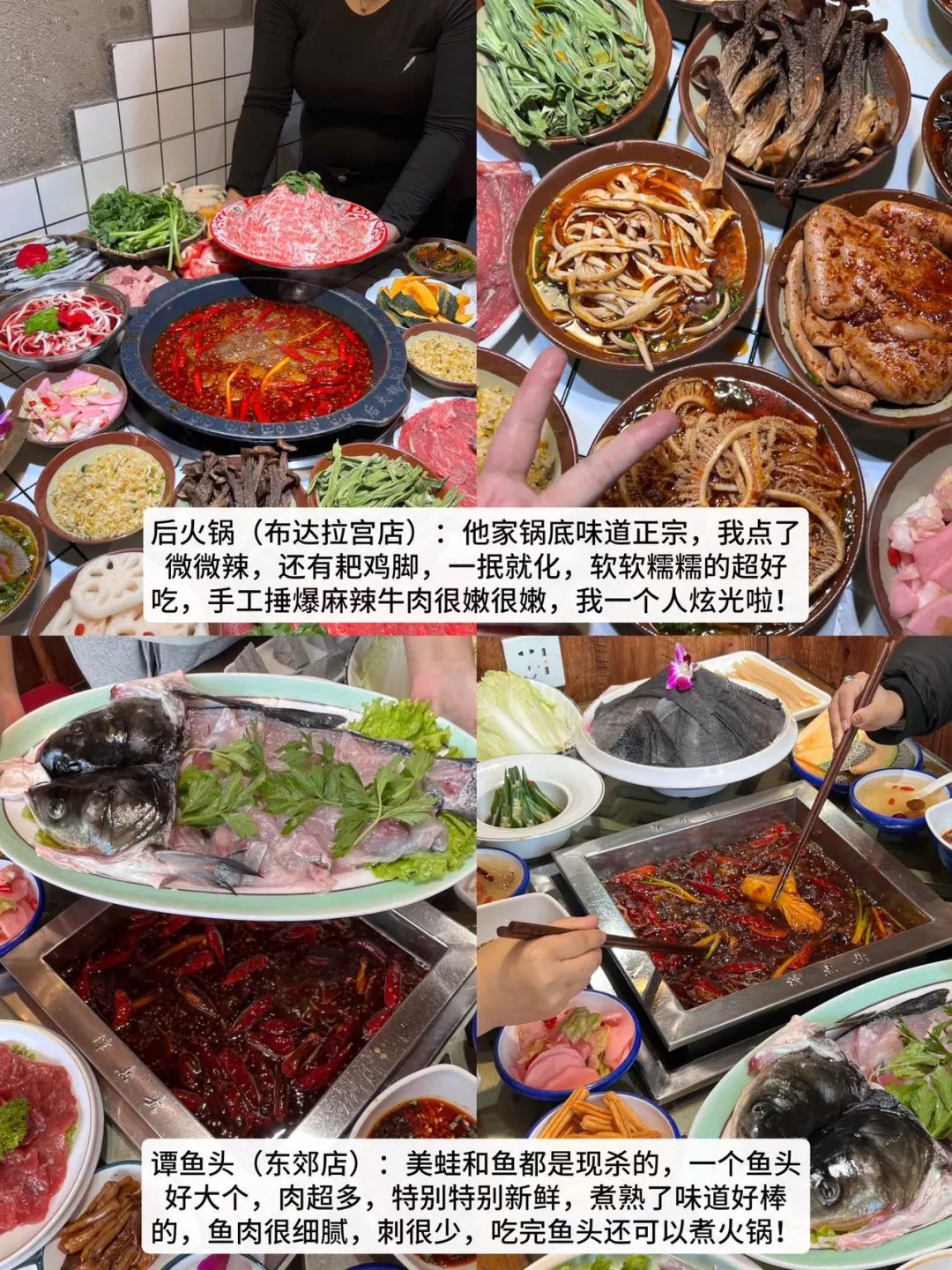 拉萨必去九大景点❗️❗️❗️旅游前必看❗️
