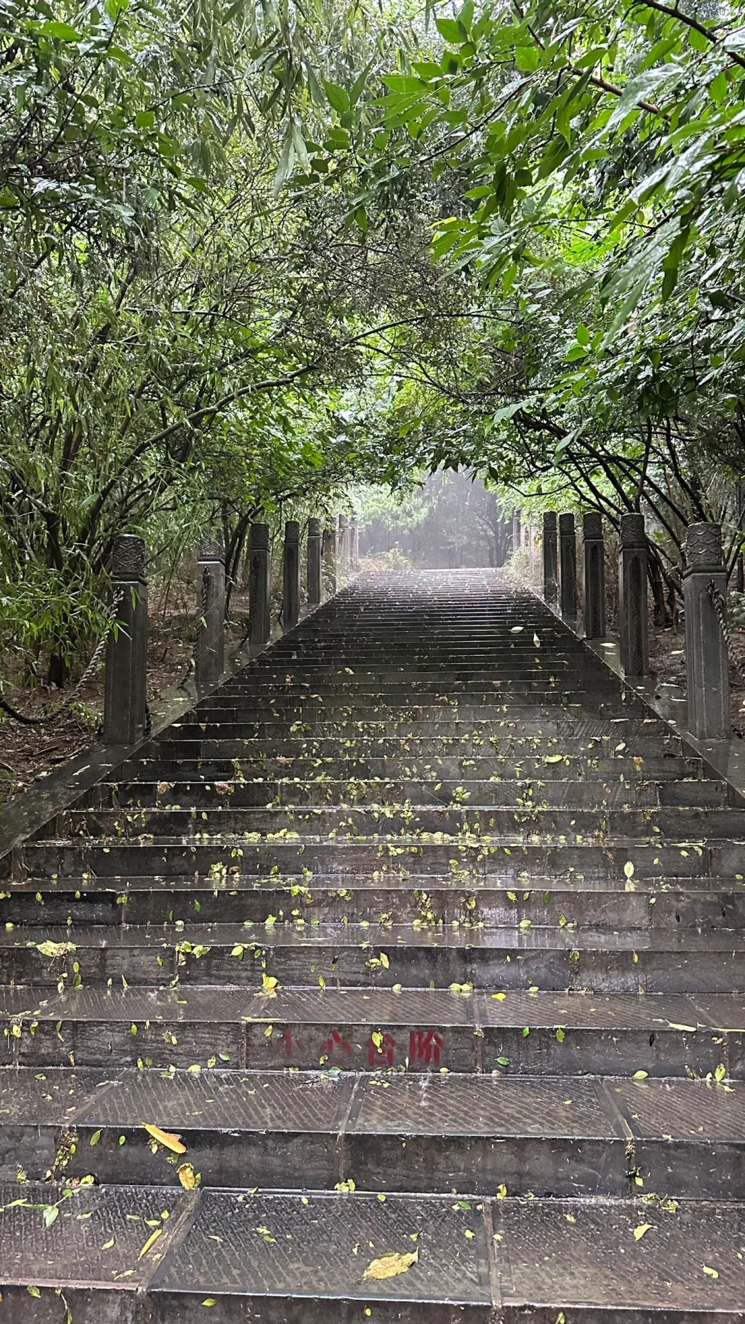 安阳｜洹园 听雨 赏景