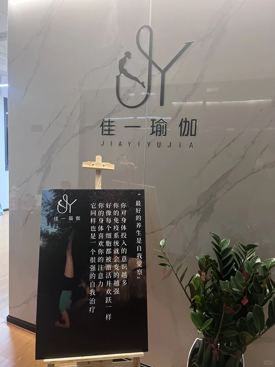 桃花湖边上练瑜伽
