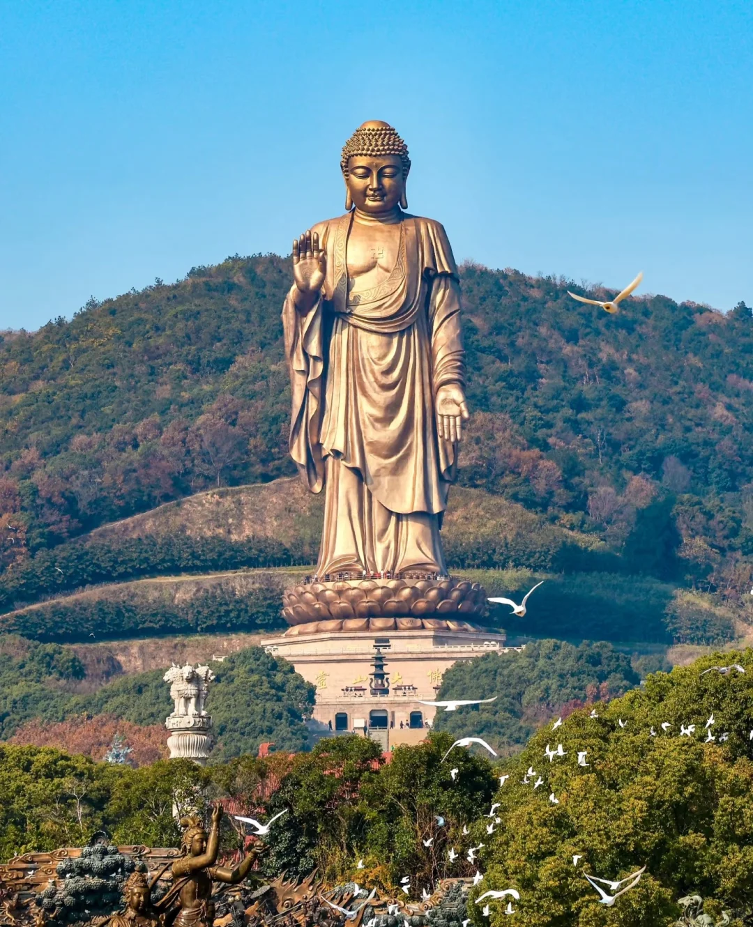 🔥无锡必打卡十大景点！本地人私藏攻略，