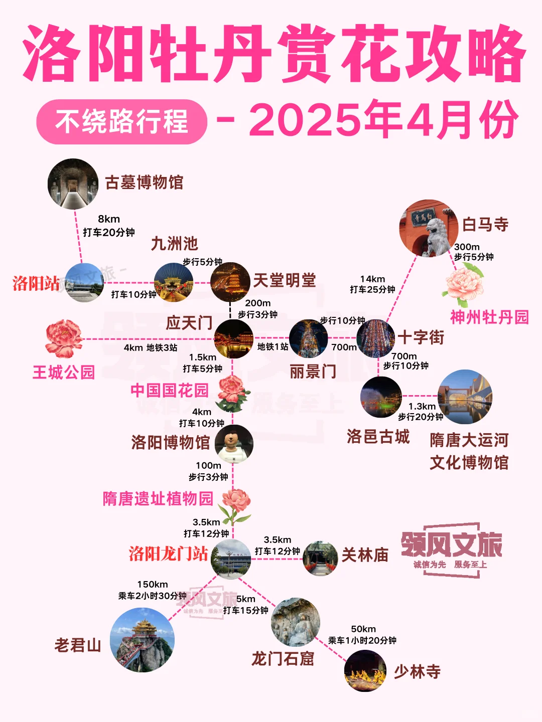 2025年4月份洛阳赏花攻略来啦！🌸