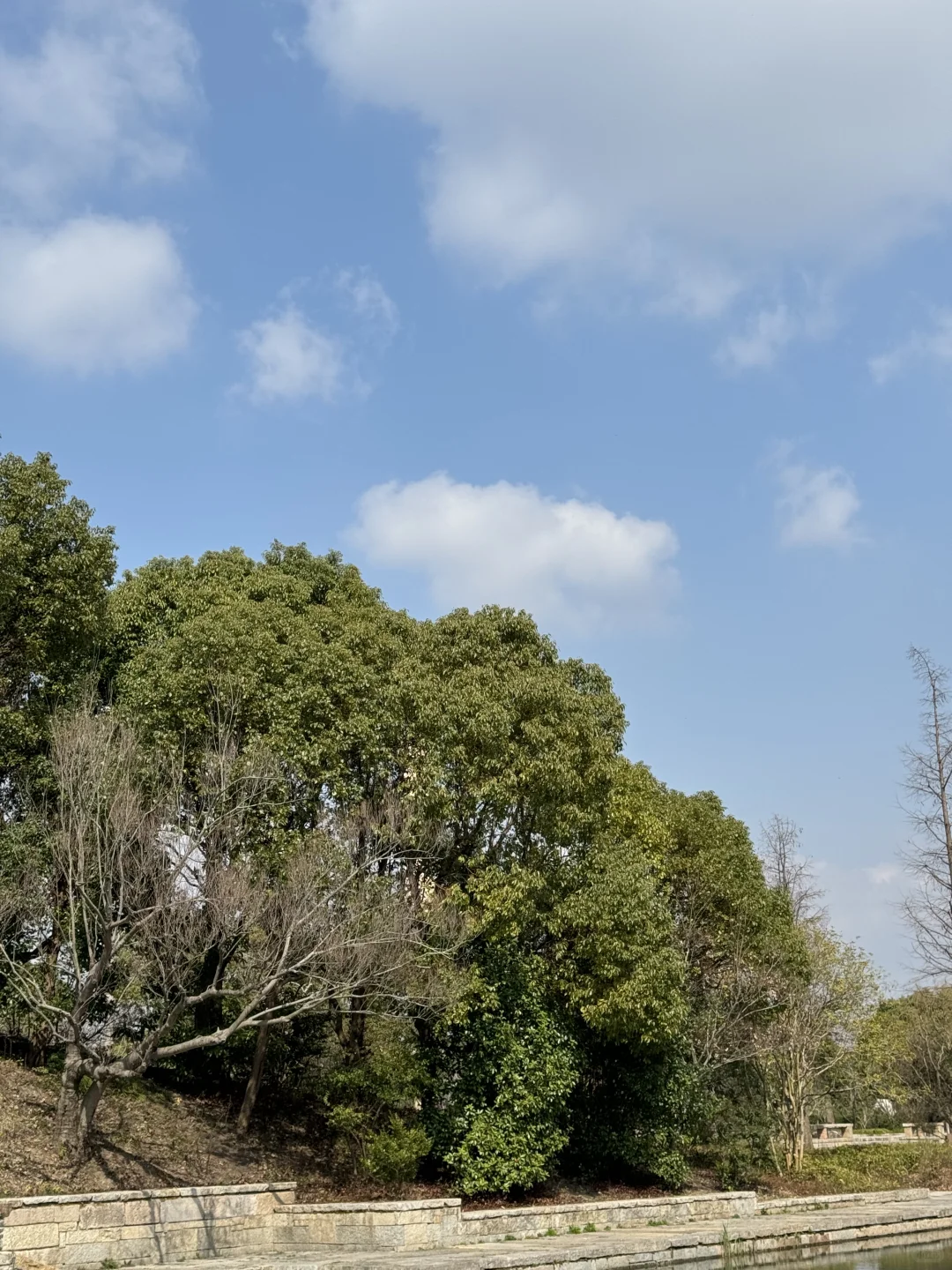 广富林遗址是松江必打卡的景点之一