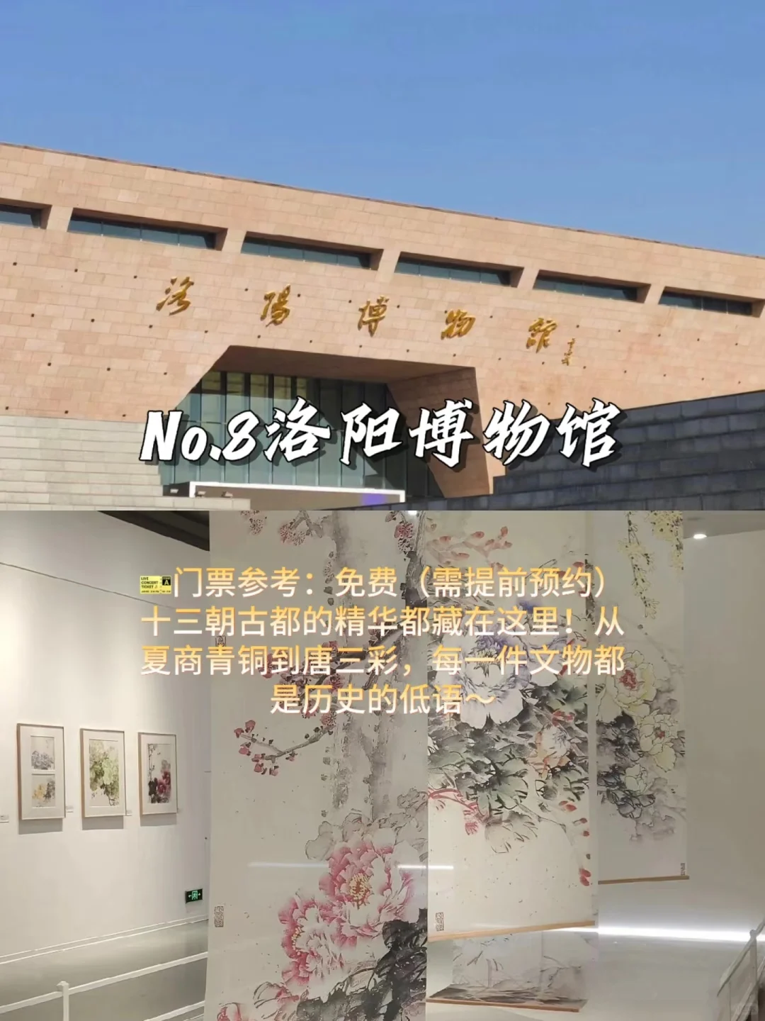 避雷河南？