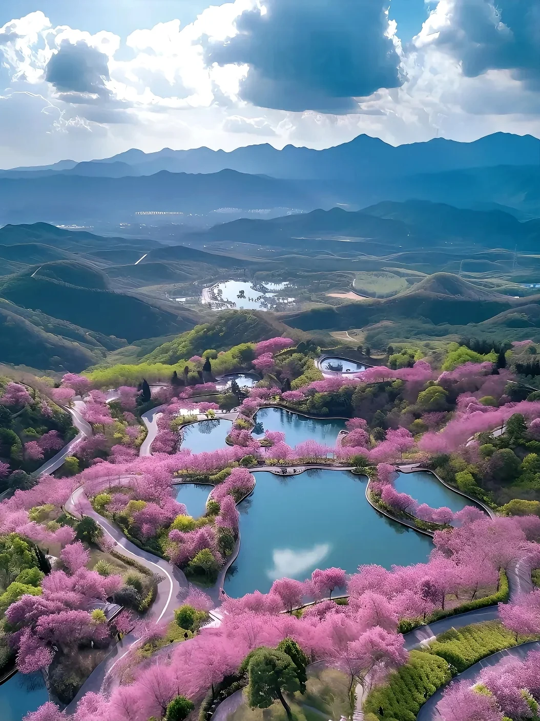 接下来的贵州，是万万次的春和景明🌸