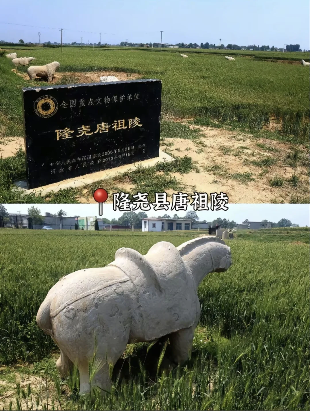 太行山里的清风楼🌲，快来邢台瞅一瞅😘