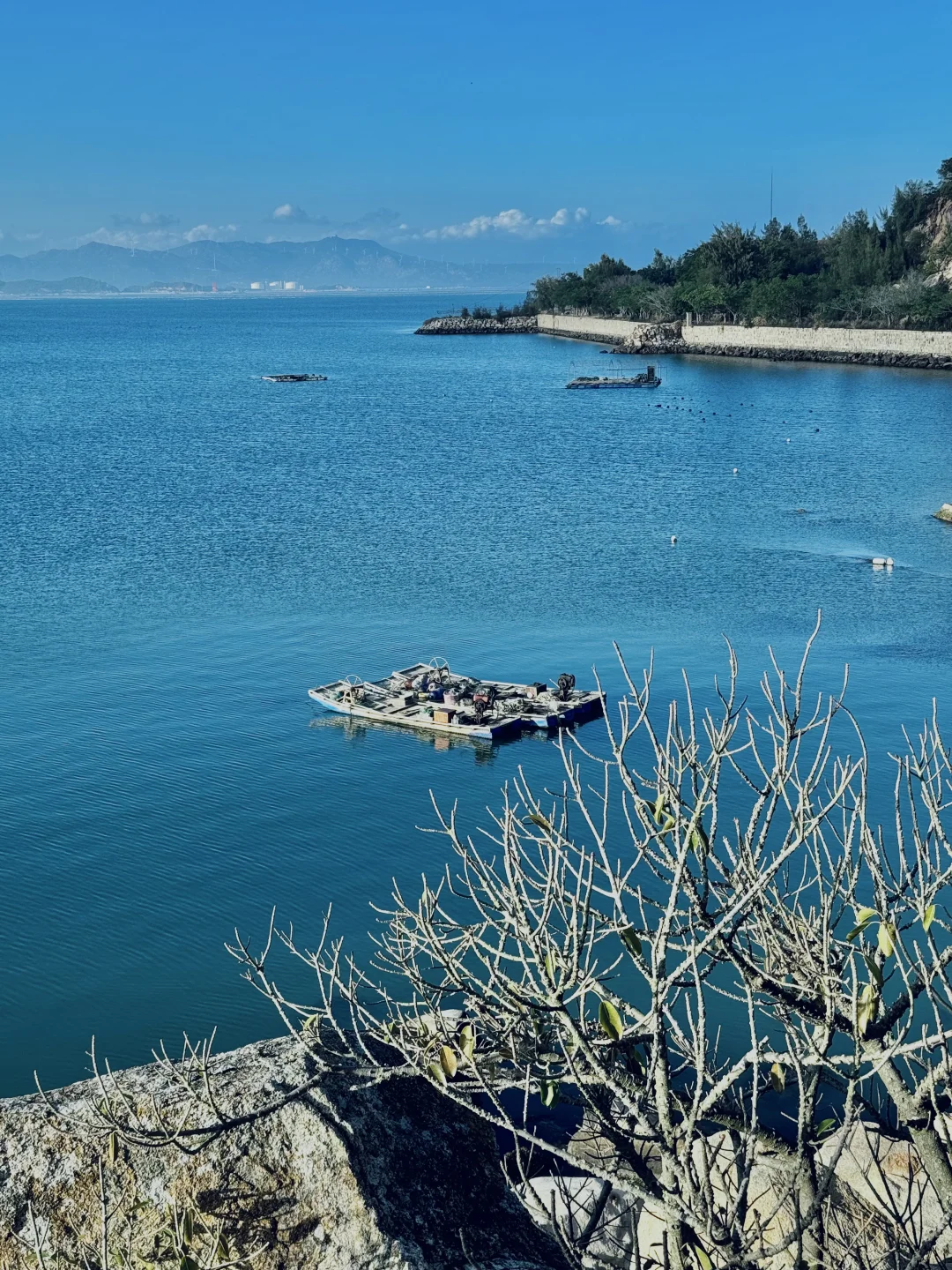 成都出发！5天4晚🏝️南澳岛+东山岛攻略…