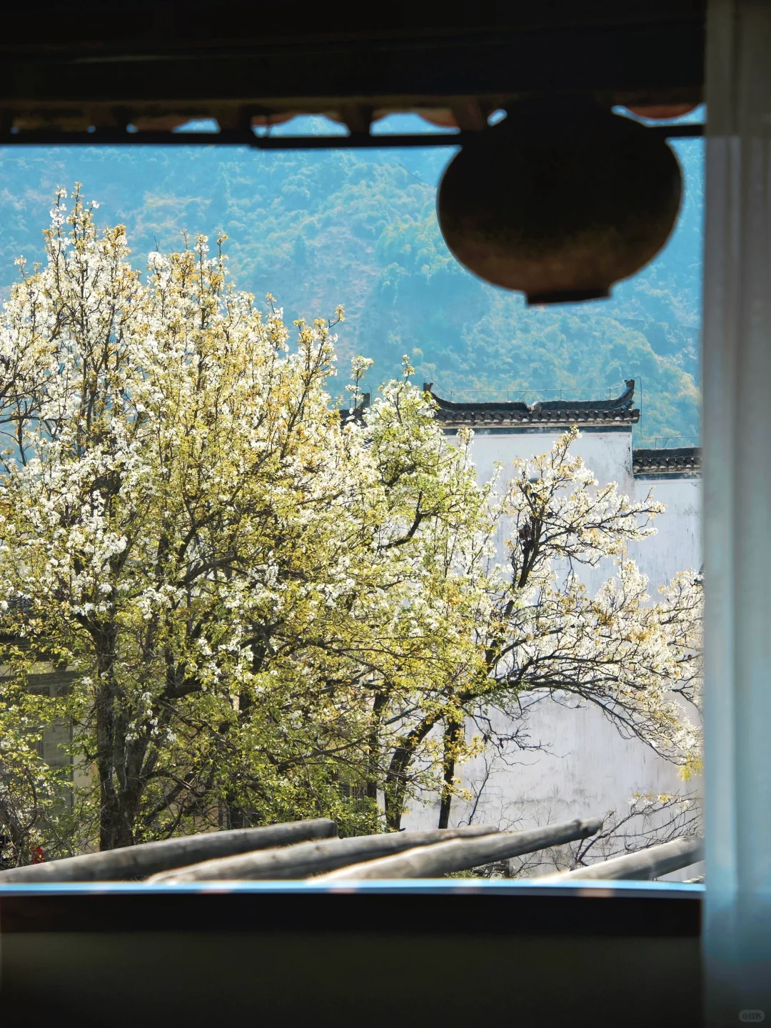 我在婺源上春山｜最美古村的春天真的好绝‼️
