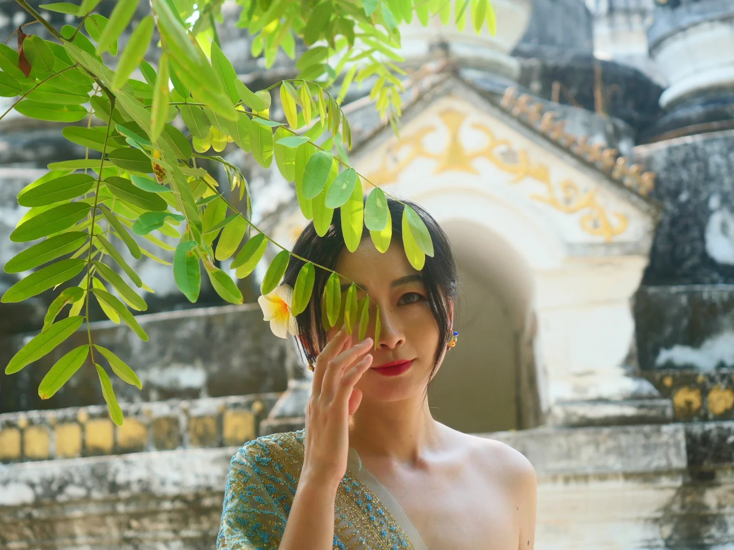 正在西双版纳，不吹不踩，实话实说