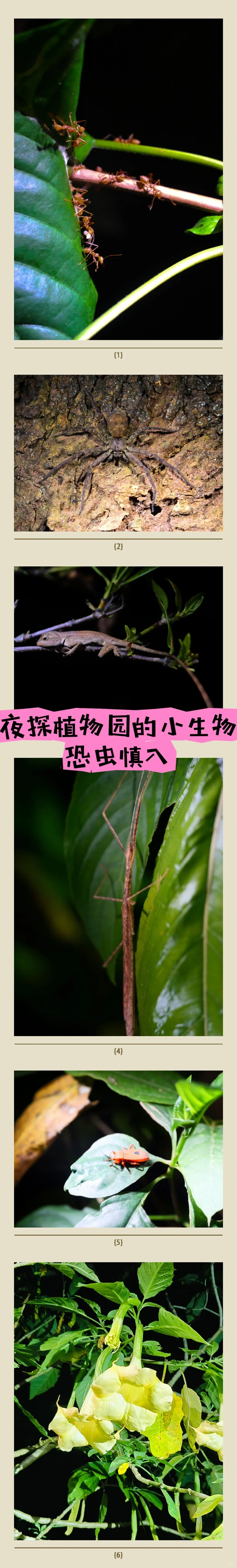 正在西双版纳，不吹不踩，实话实说