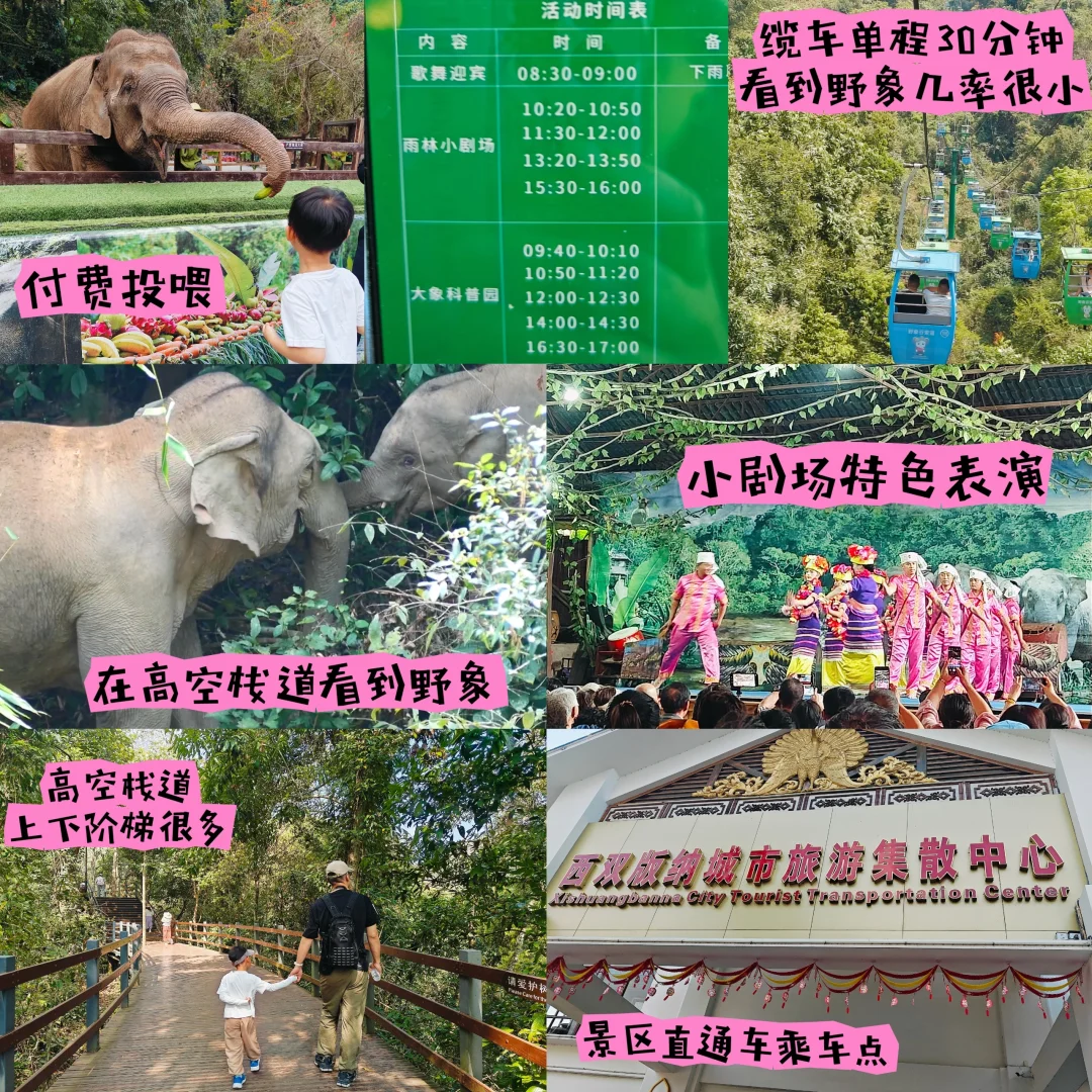 正在西双版纳，不吹不踩，实话实说