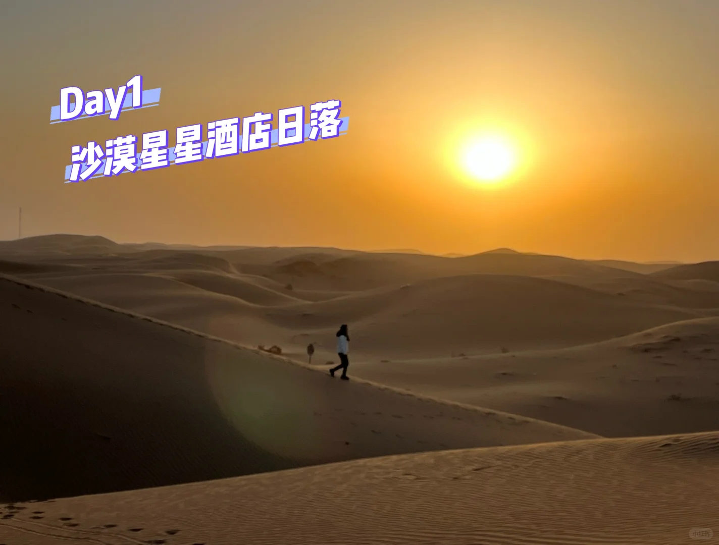 沙漠星星&宁夏中卫旅游攻略Day1