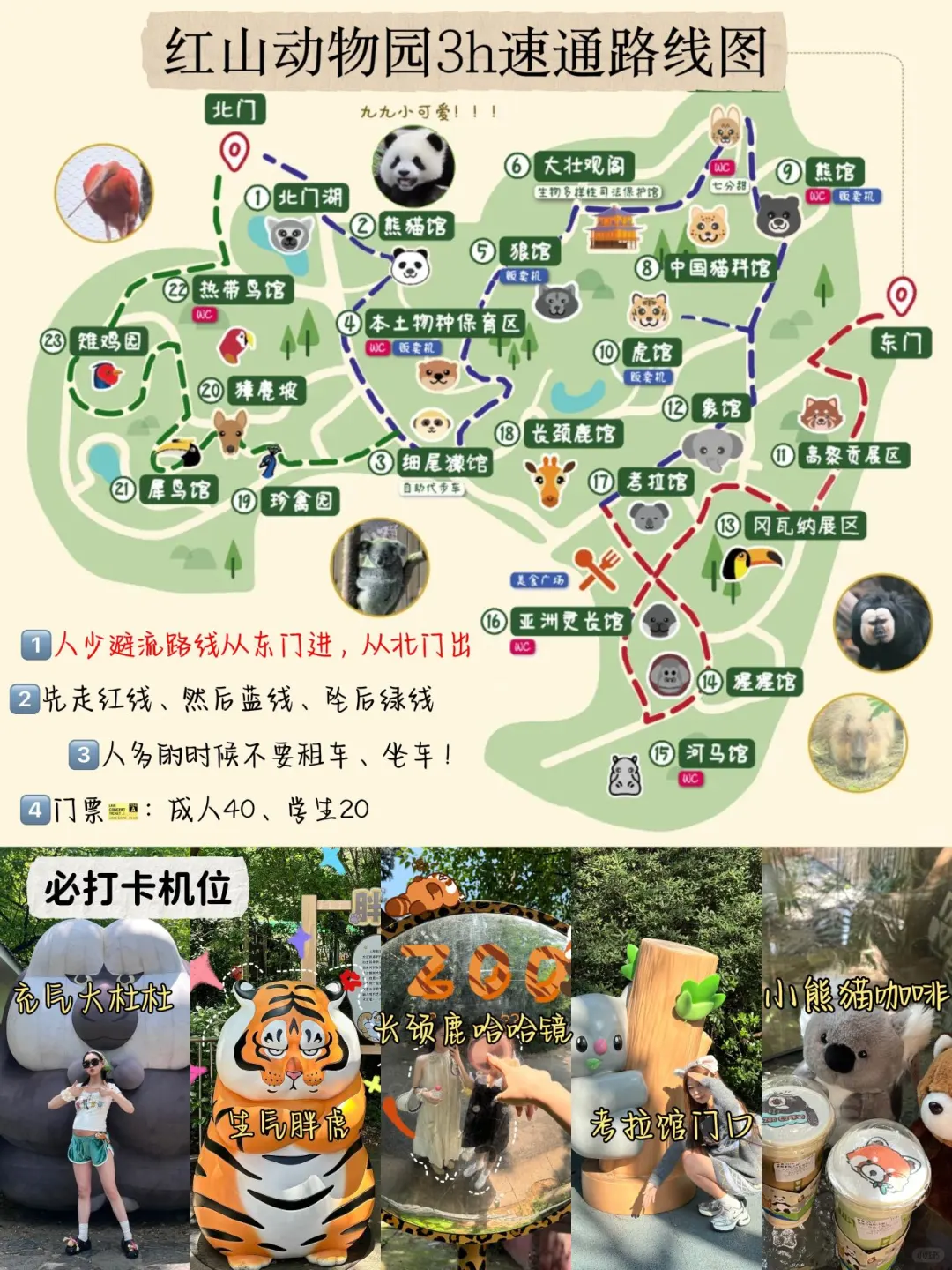 🥶南京已回。。。真的被这天气整崩溃了！