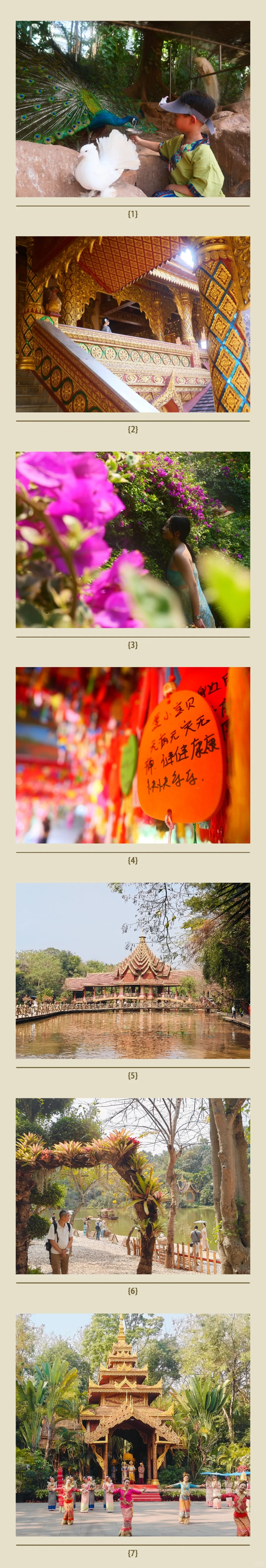 正在西双版纳，不吹不踩，实话实说