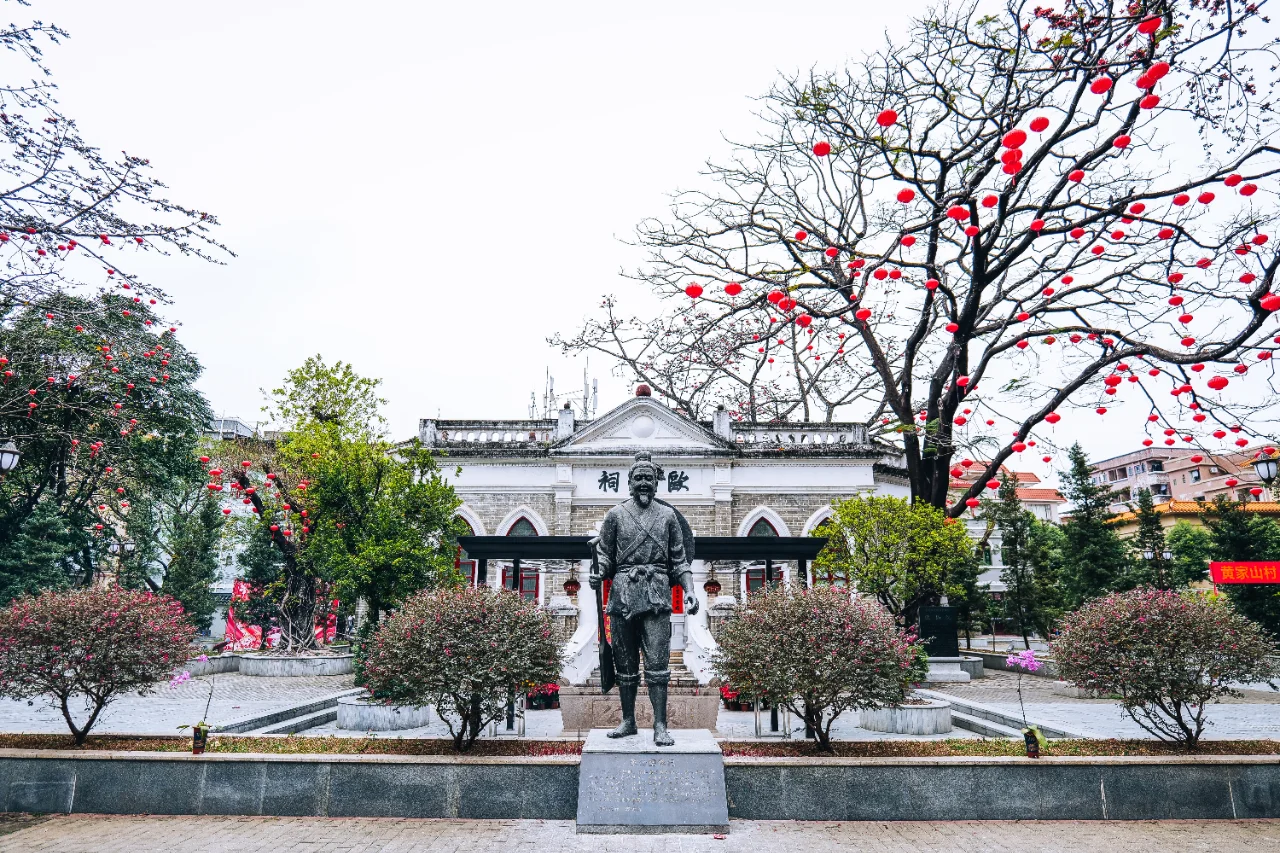 石龙欧仙院：红棉盛放的绝美时刻