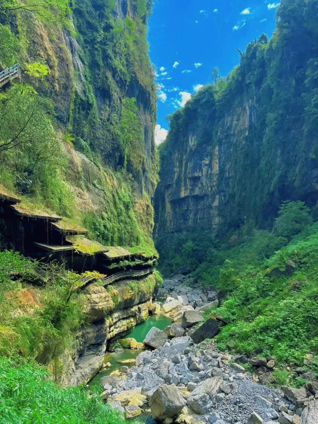我宣布，以后去神农架+三峡+恩施还跟团！
