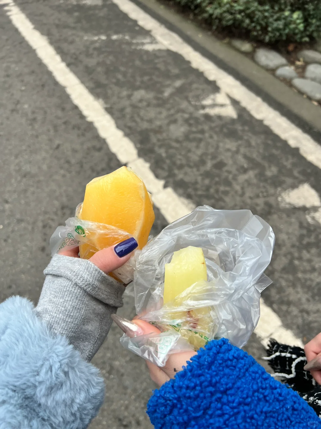 西蜀第一山