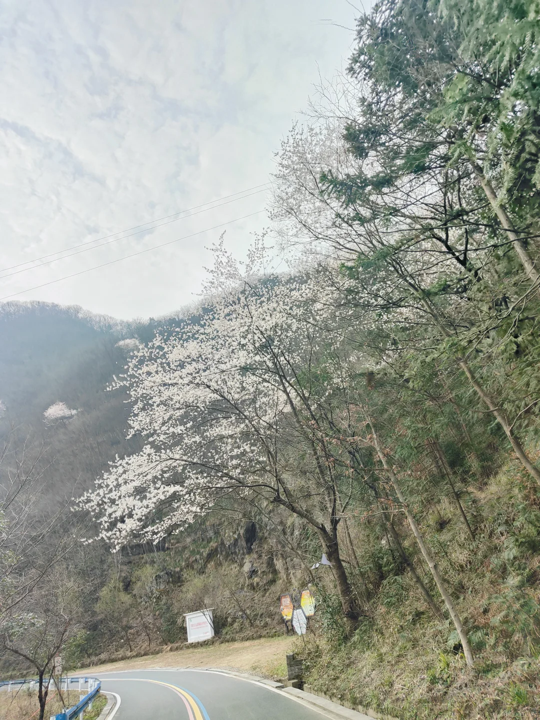 今日的金刚台西河景区华佗谷