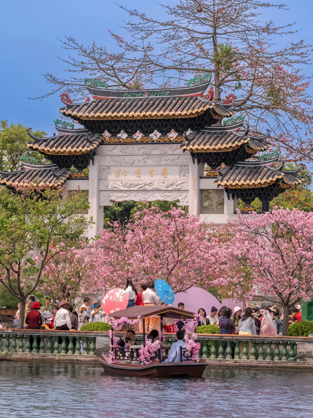 预计是广州下一个顶流！粉色花海🌸倒计时！