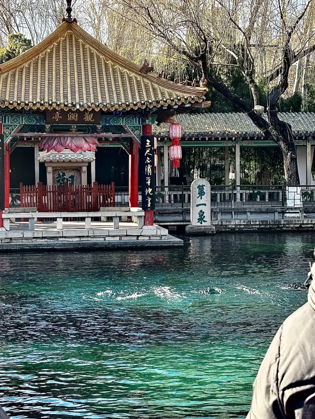 济南 | 这座老城藏着的人间烟火与诗意浪漫✨