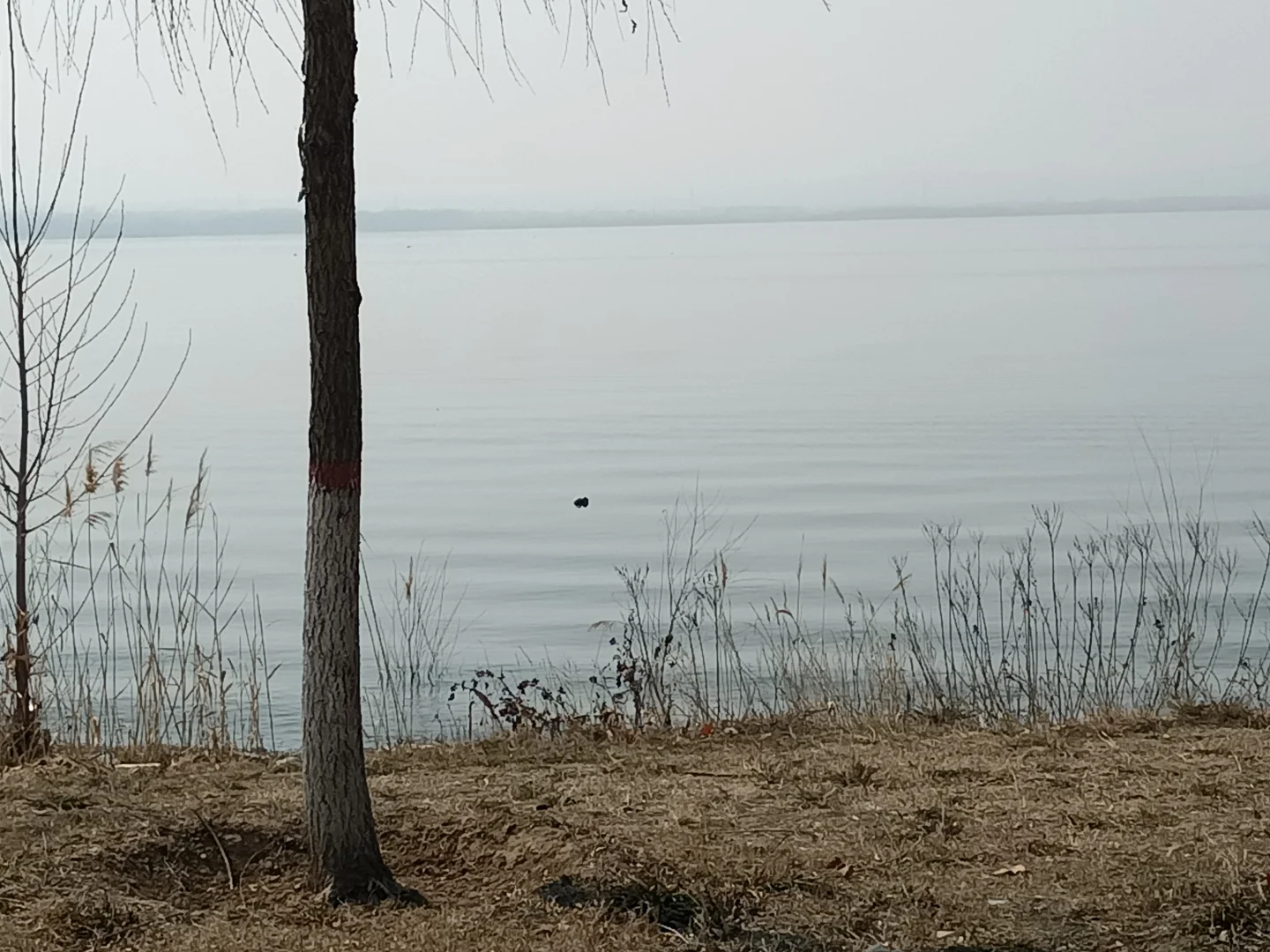 一泉湖风景区