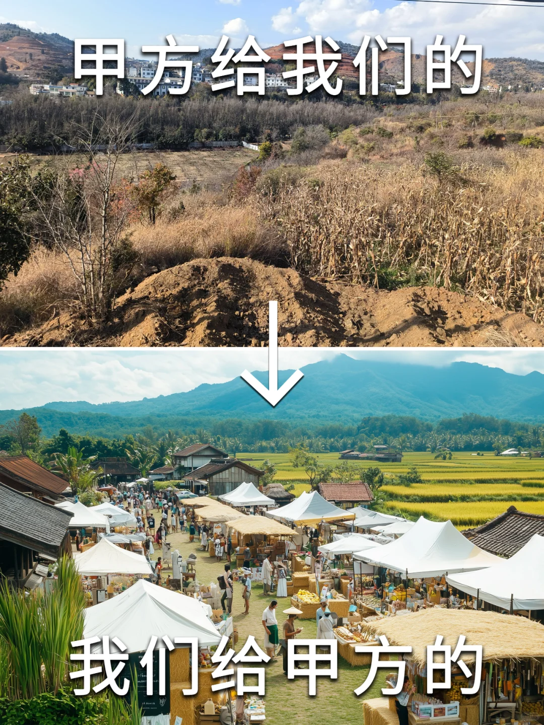 速速集合！超热闹的稻田艺术集市开逛啦！