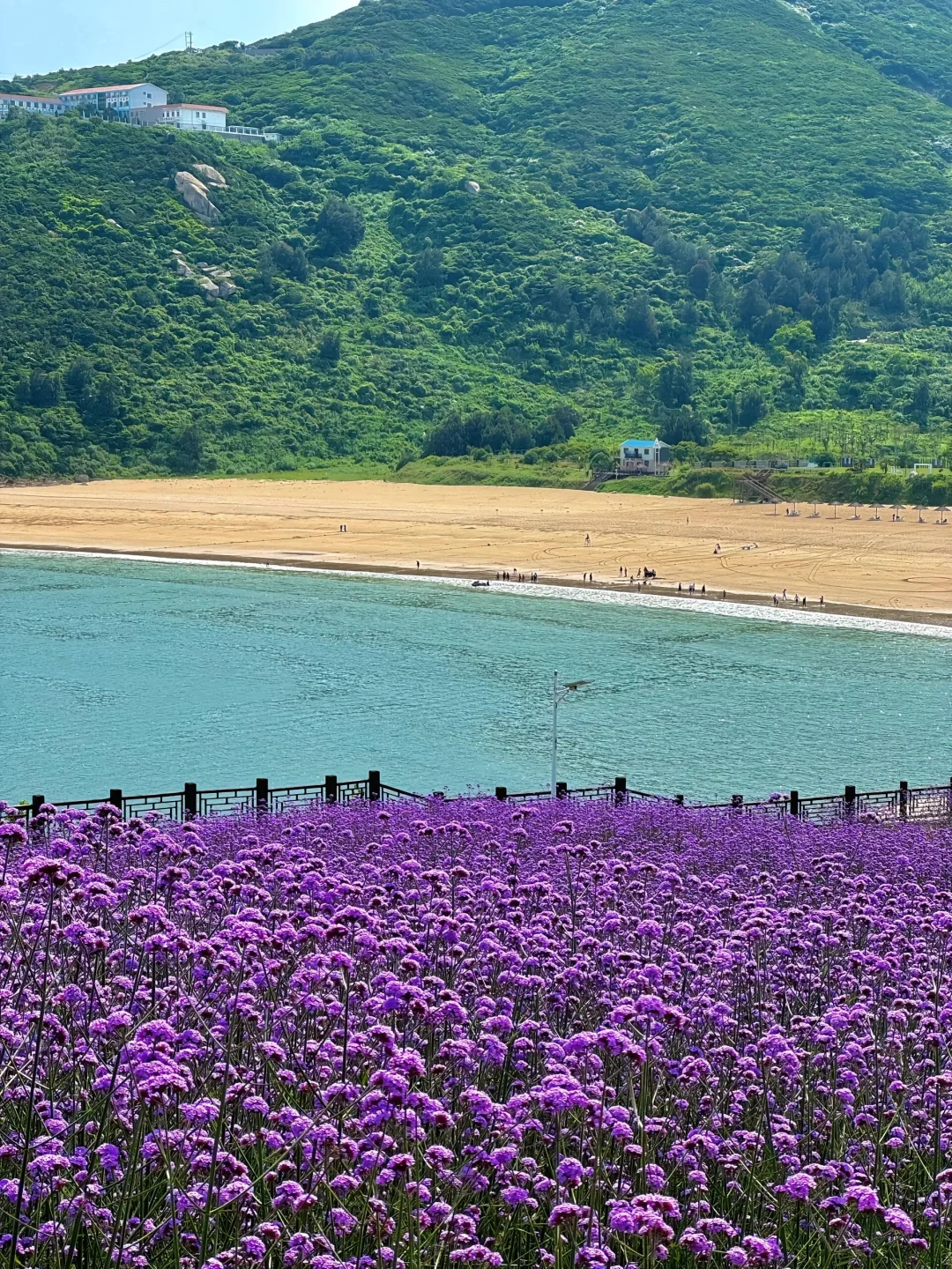 不在新西兰！藏在浙江的小众岛屿