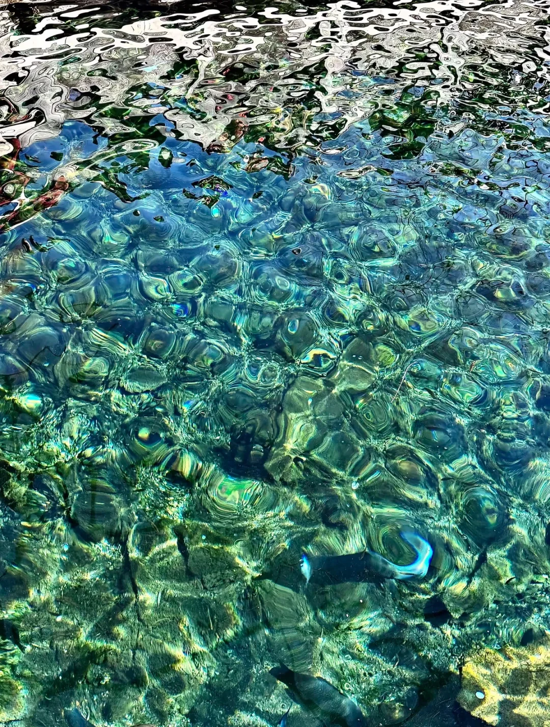 济南 | 这座老城藏着的人间烟火与诗意浪漫✨