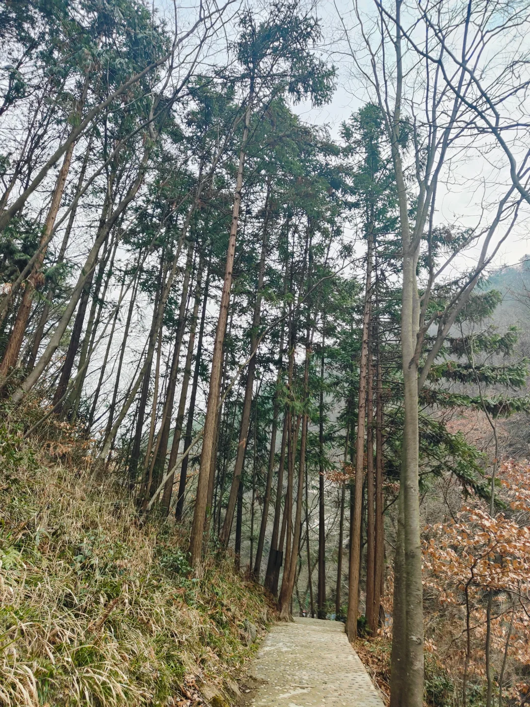 今日的金刚台西河景区华佗谷