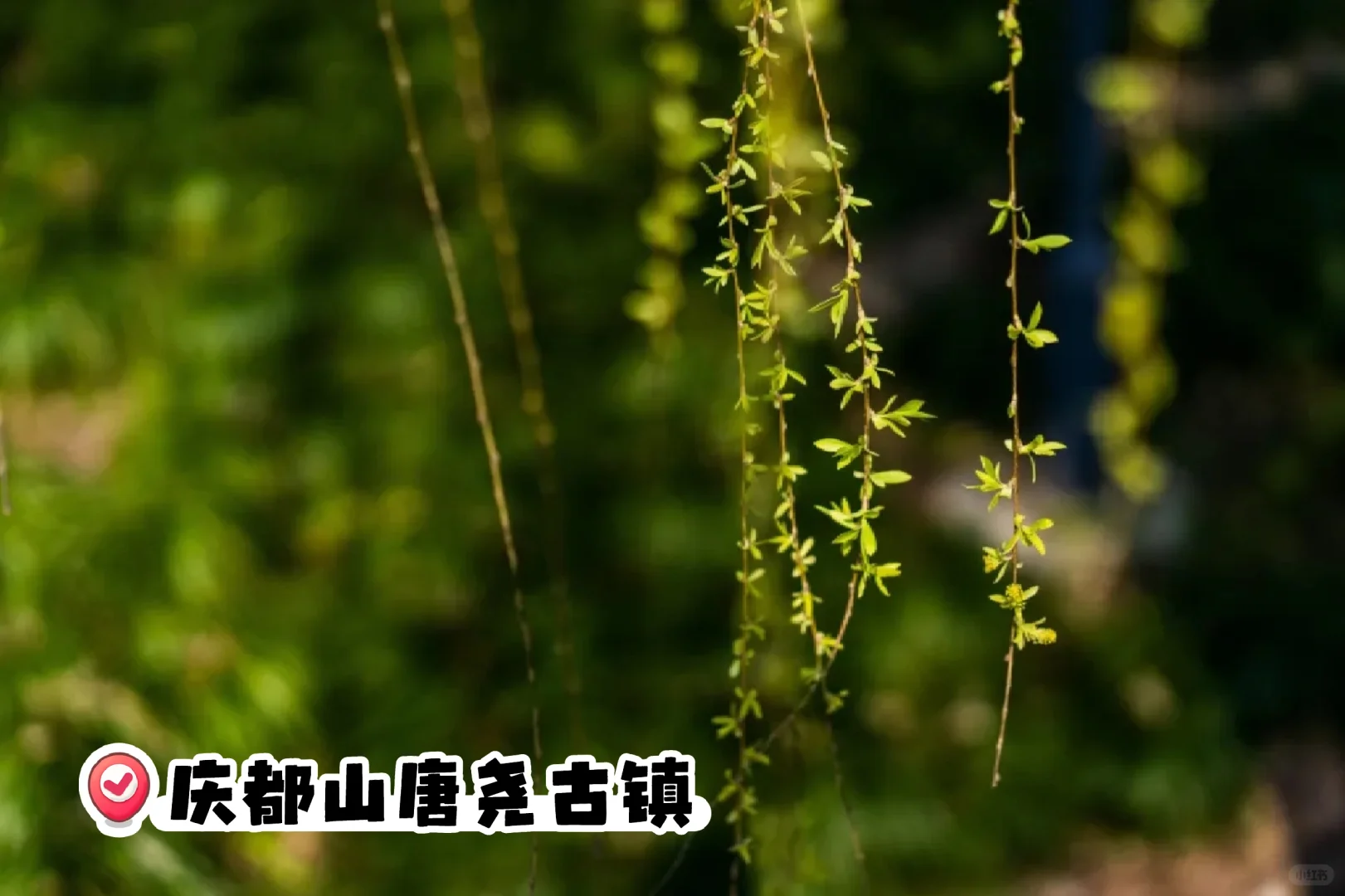 全部免费自驾可达🔥北京周边5个美丽古镇