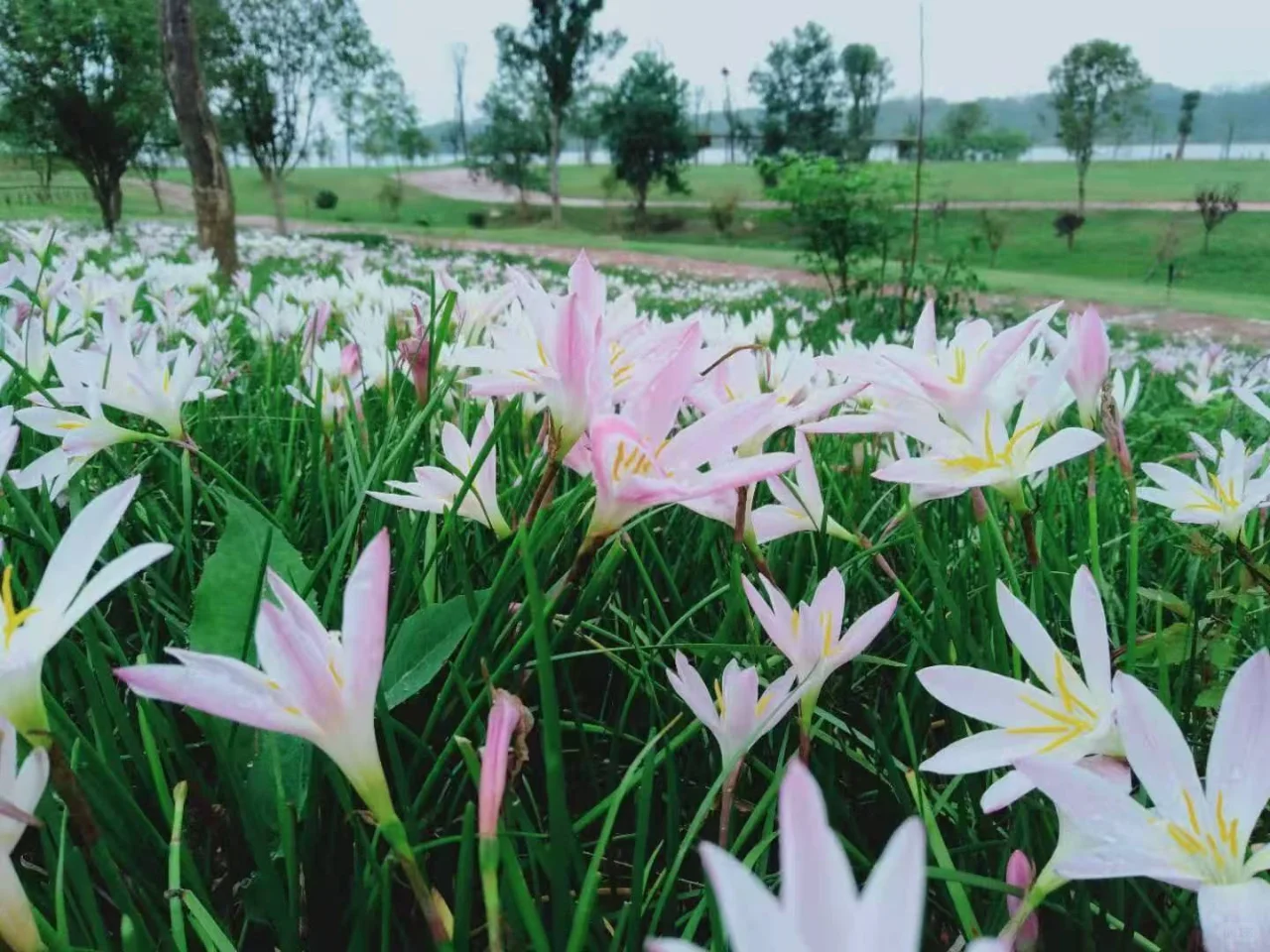 🌟【康丰源景区】—宝藏旅行地📸