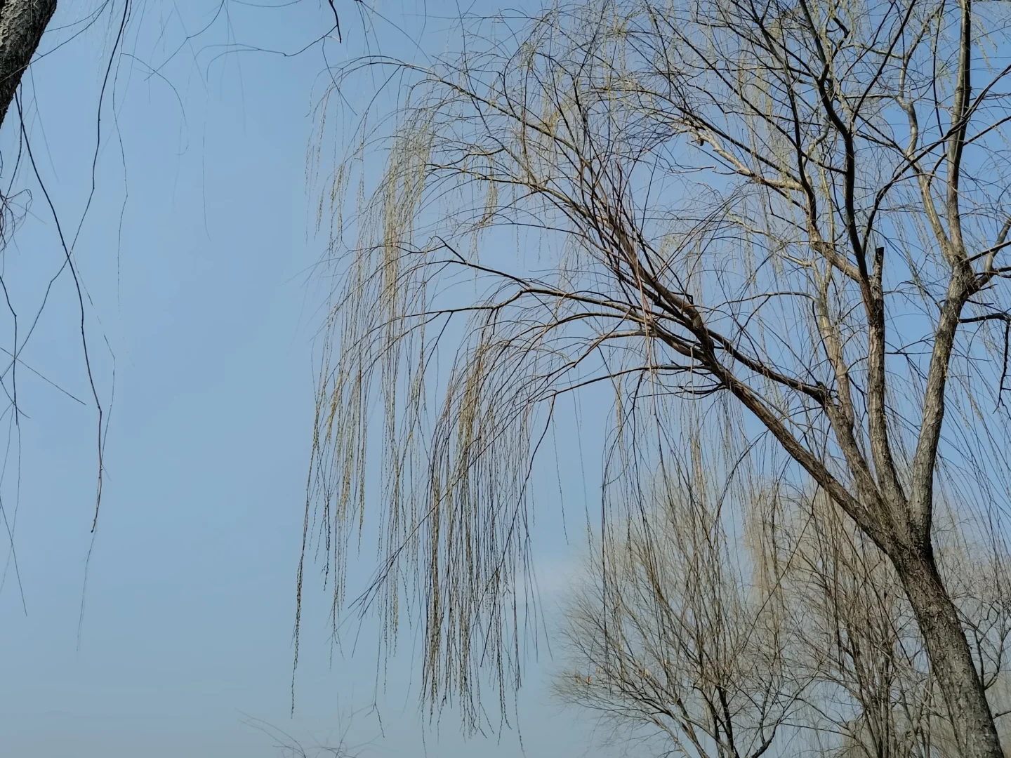 一泉湖风景区