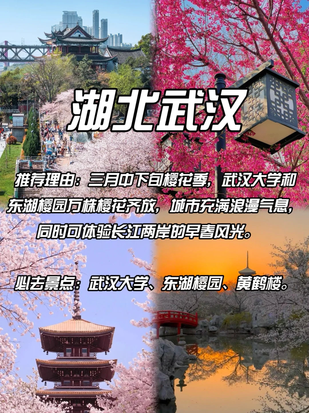 DeepSeek经过深度思考后告诉我的