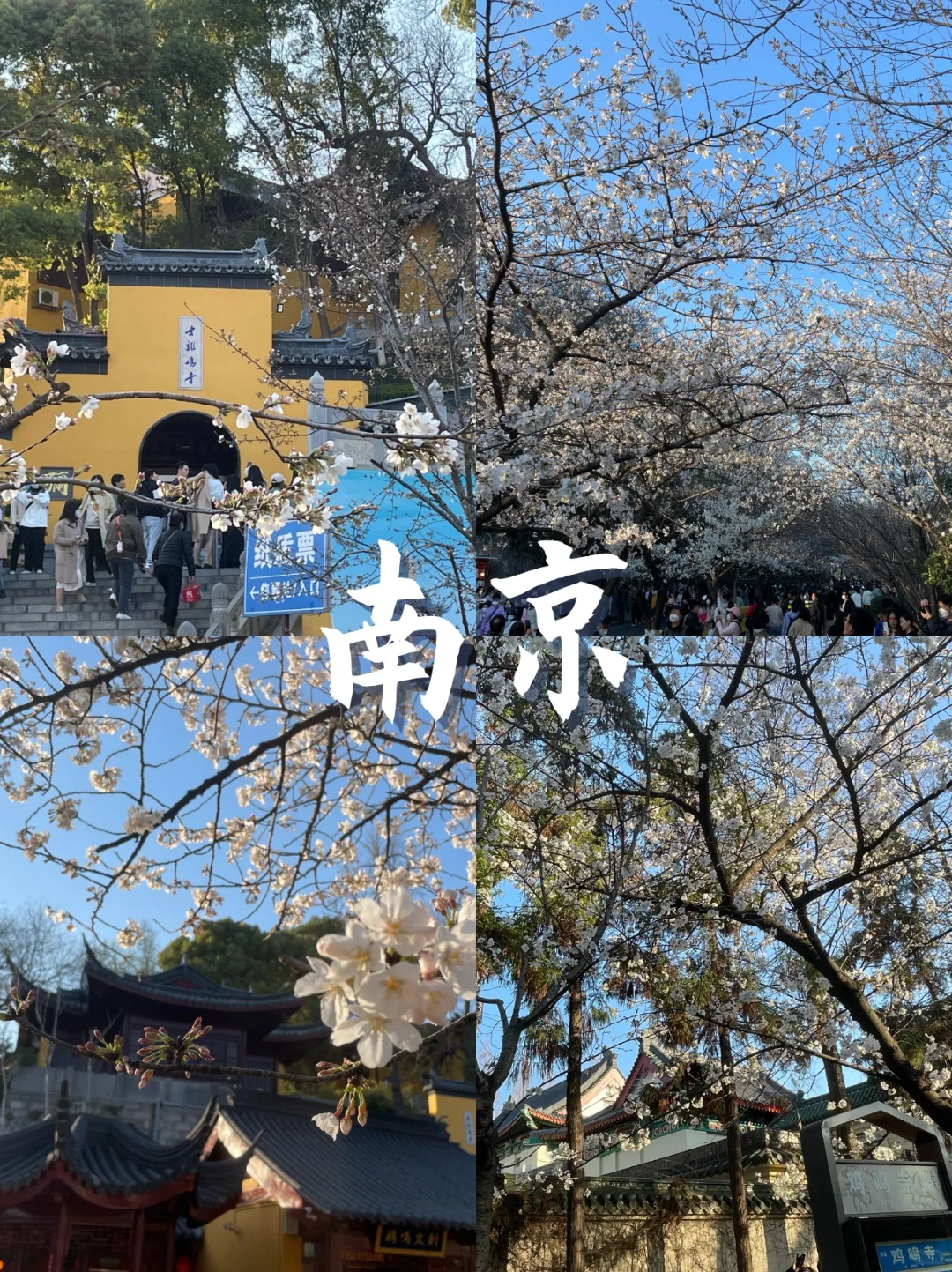 三月份适合春游的十个城市！（上）