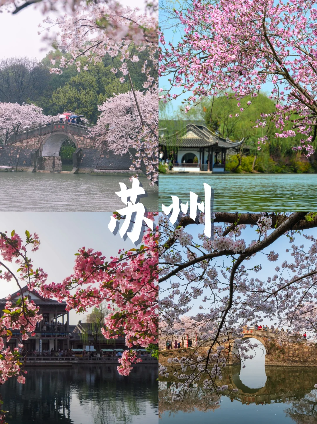 三月份适合春游的十个城市！（上）