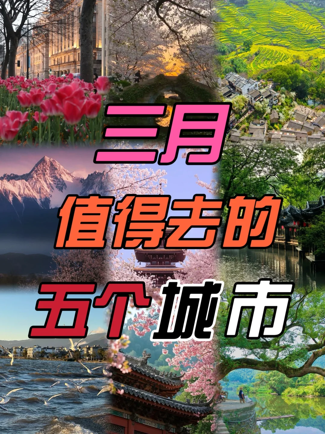 DeepSeek经过深度思考后告诉我的