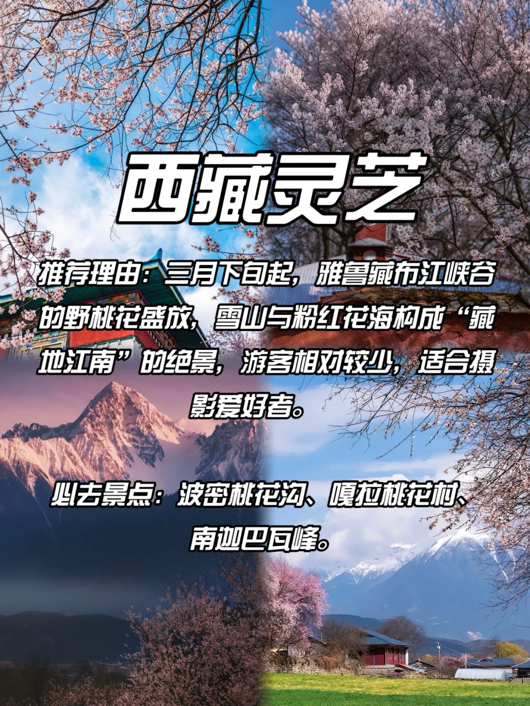 DeepSeek经过深度思考后告诉我的