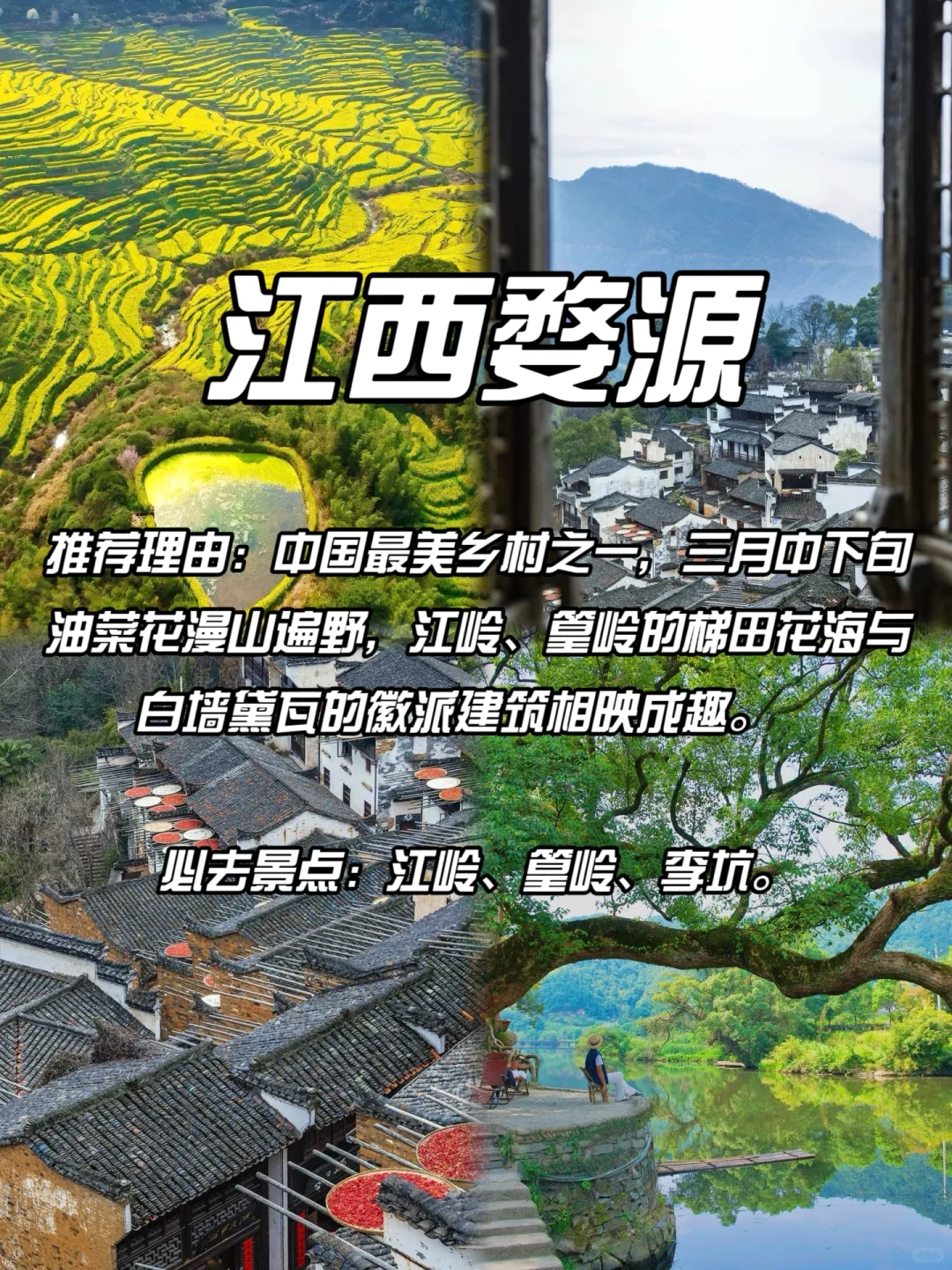 DeepSeek经过深度思考后告诉我的
