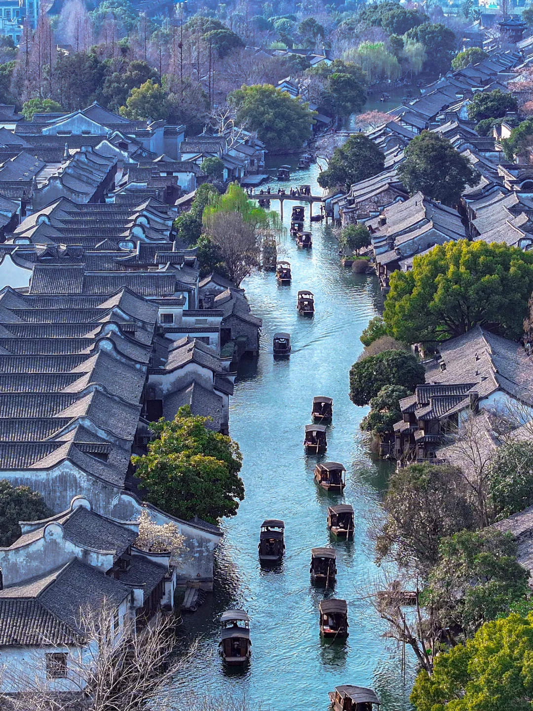 比起西湖，我更爱乌镇的春日限定春和景明