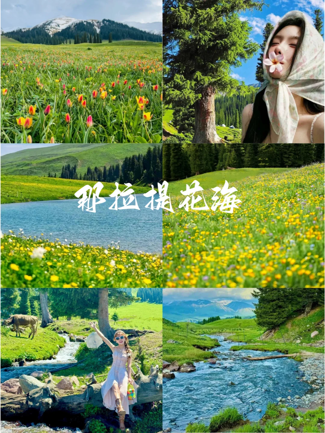 五一去新疆旅游｜6天5晚不费脑天花板级攻略